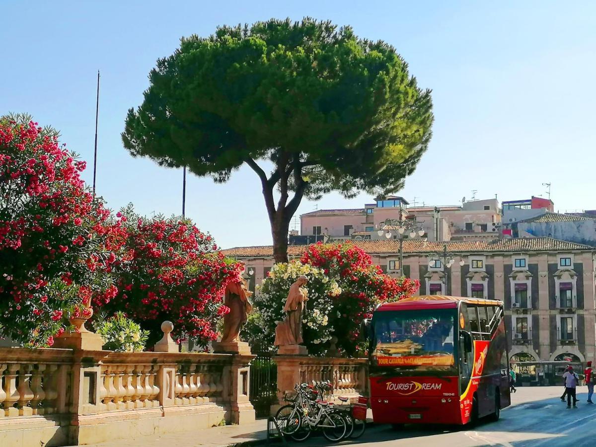 Diletta Oasi Bed & Breakfast Catania Exterior photo