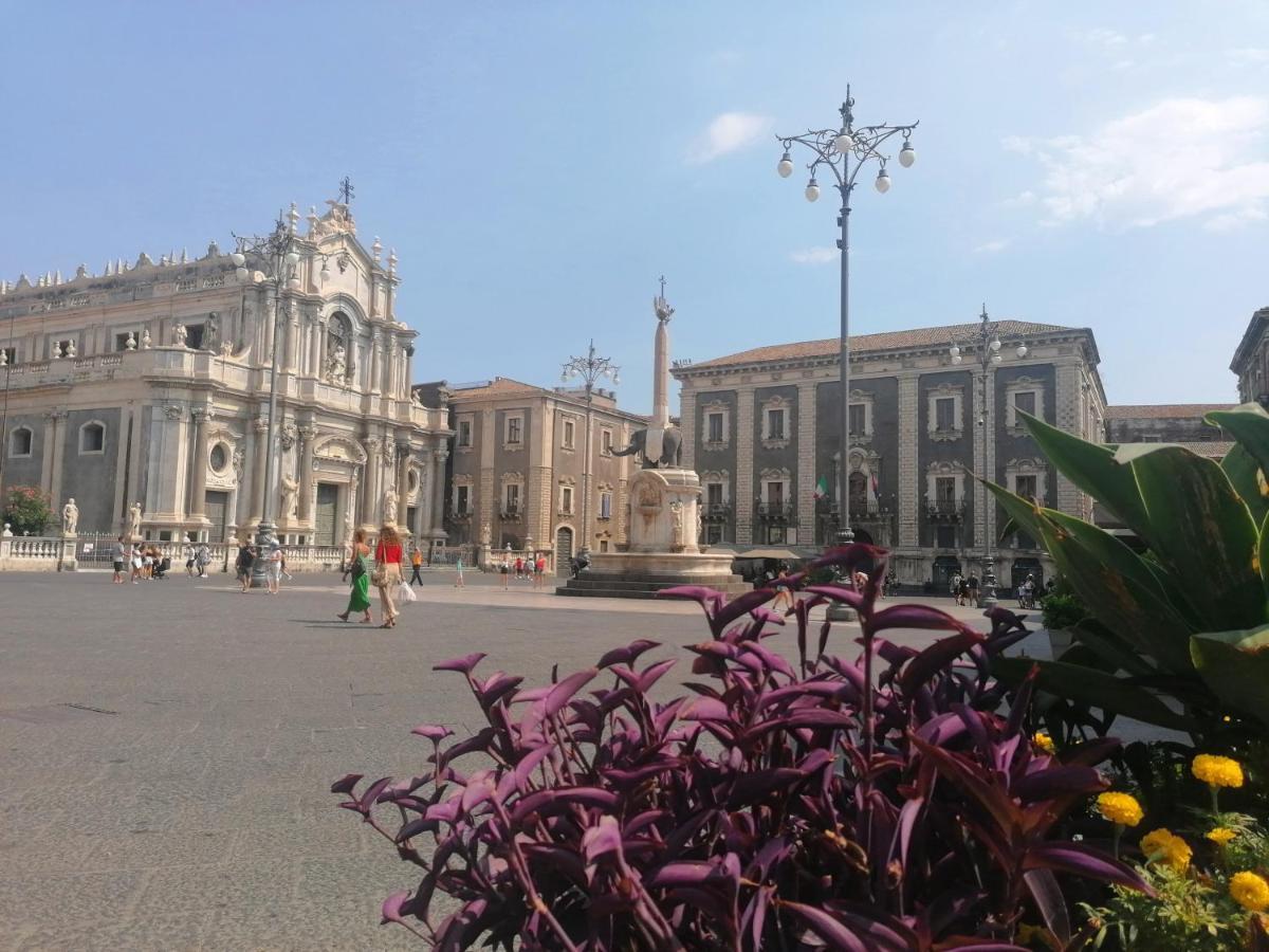 Diletta Oasi Bed & Breakfast Catania Exterior photo